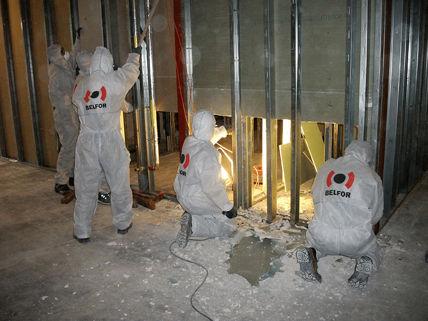 Mould restoration renovation 2020 lo res