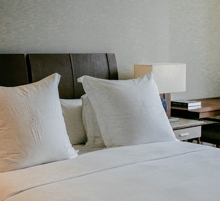 03-Upholstery Cleaning