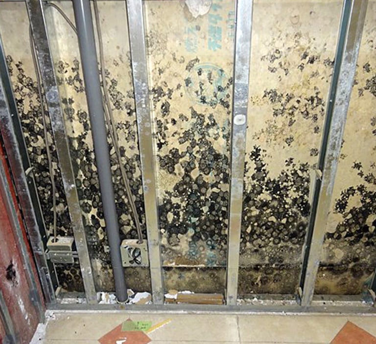 281-Mold-RP-brochure-2019-lo res