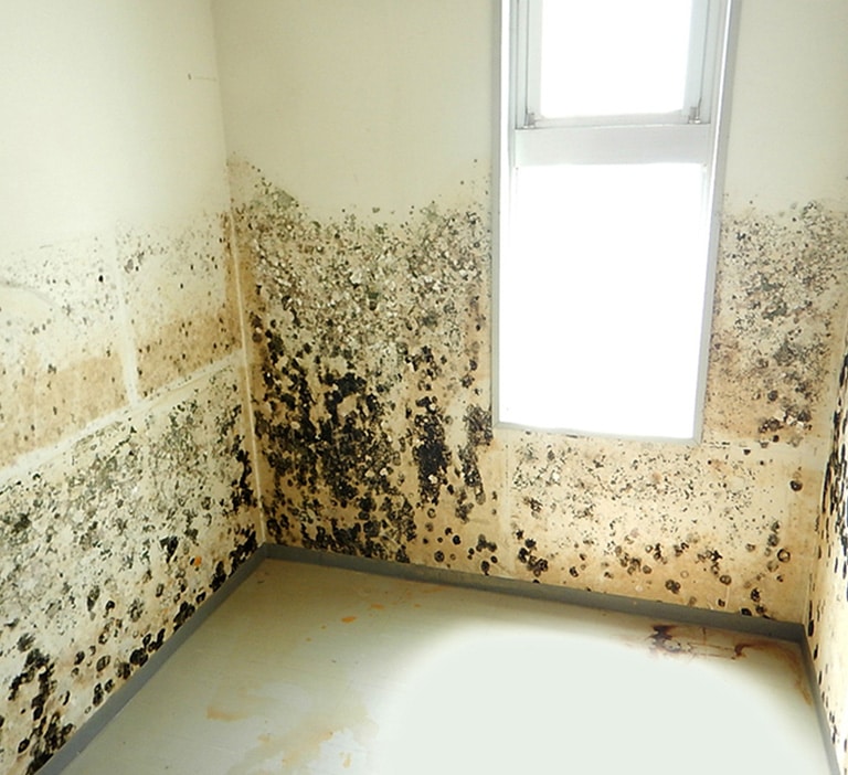 281-Mould-2021-lo res