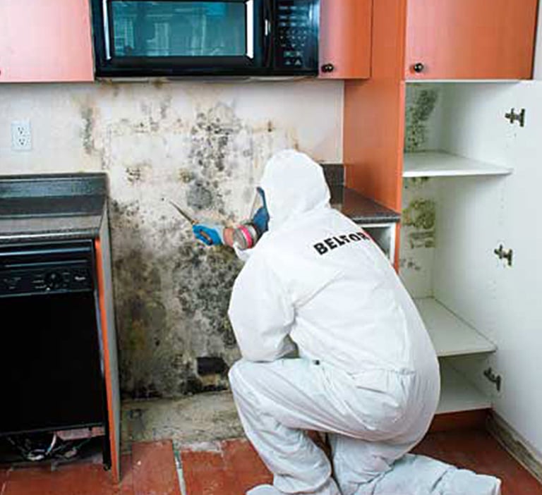 EU-mold-kitchen-lo res