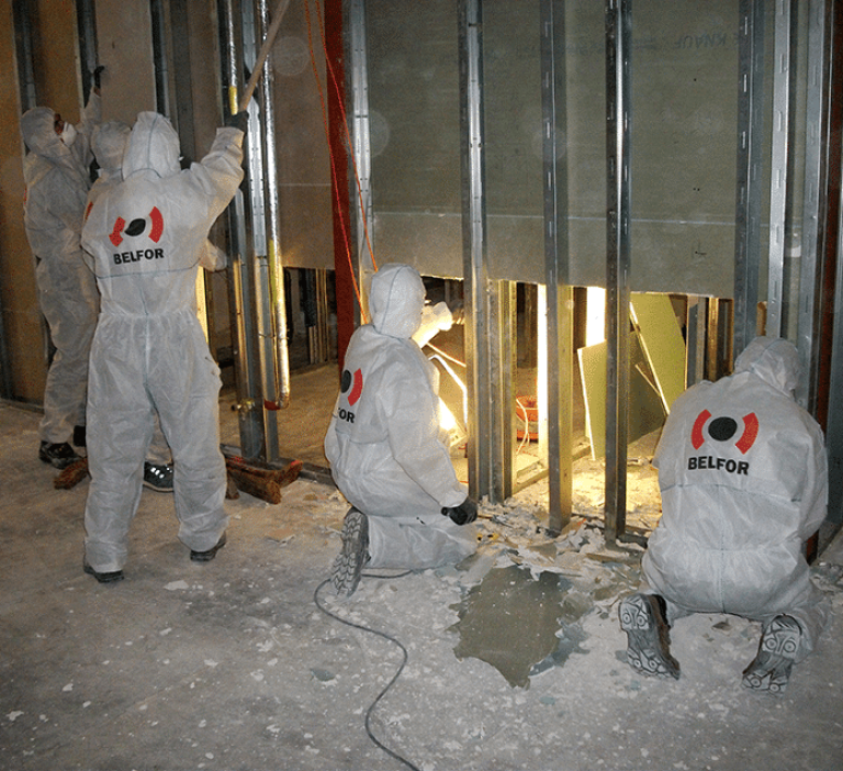 Mould restoration renovation 2020 lo res